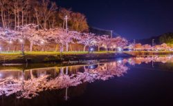 平筒沼ふれあい公園桜まつり©Japan Videography