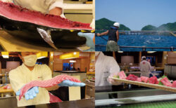 うまい鮨勘の2021夏グルメ・愛媛県宇和島産の本マグロを味わい尽くす