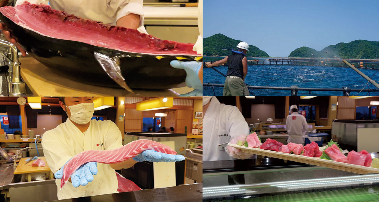 うまい鮨勘の2021夏グルメ・愛媛県宇和島産の本マグロを味わい尽くす